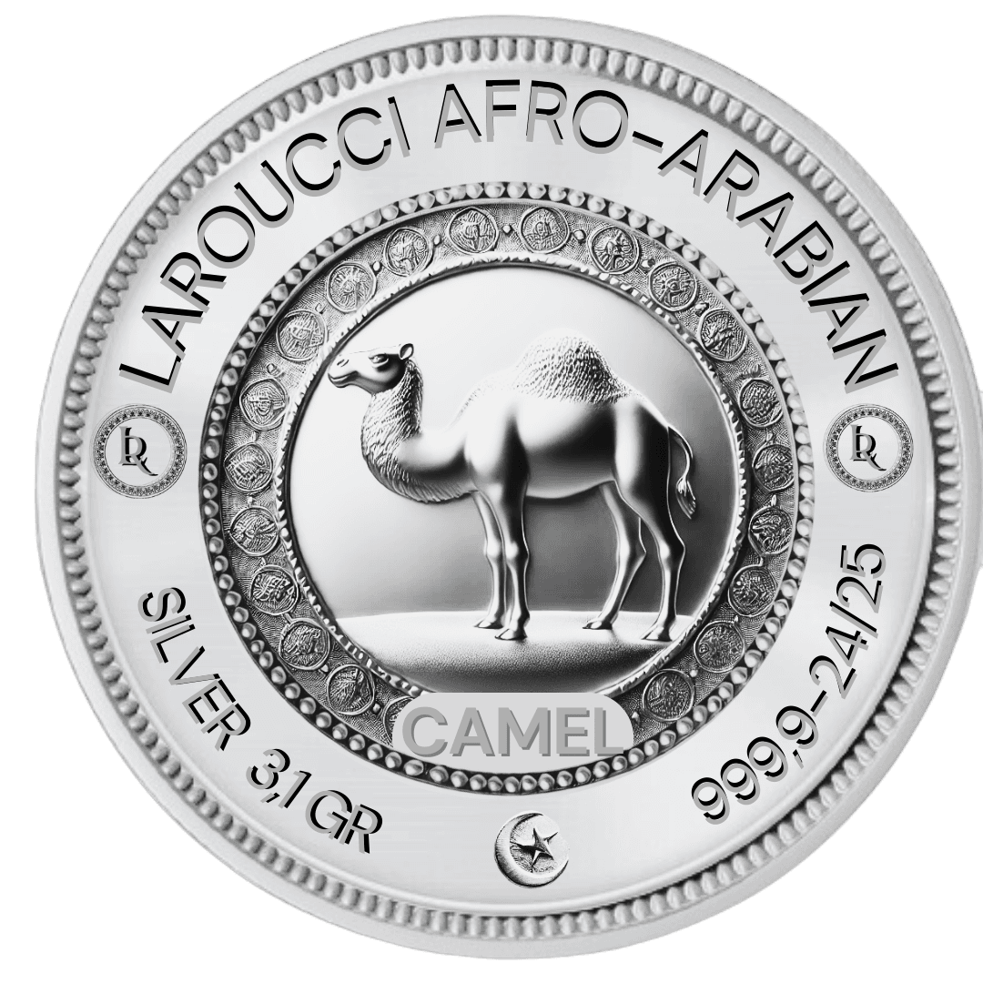 Cover of Silver Coins